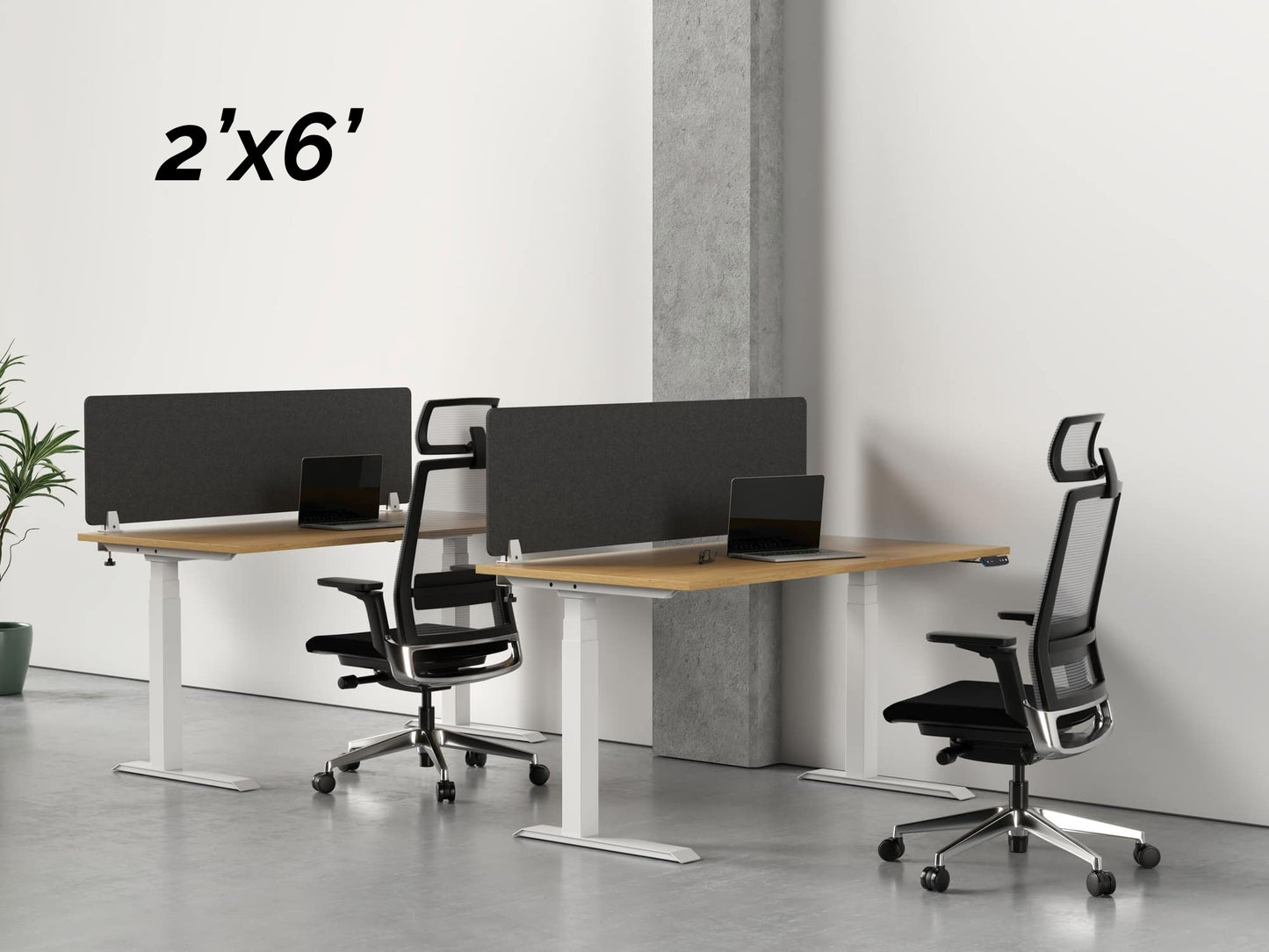 Acoustic Desk Divider Pack - Mounted 2x6