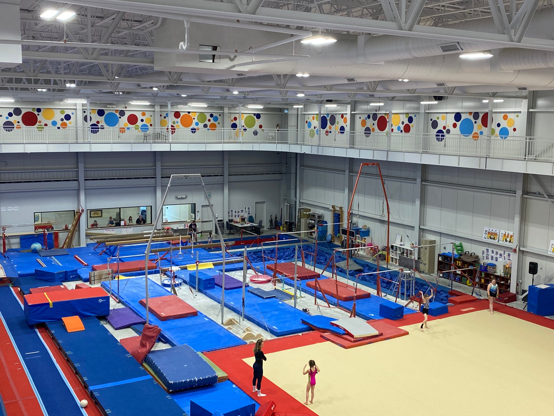 Alanna Baird Circle Wall Tiles 2.jpeg